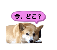 859255174