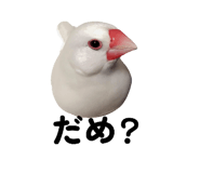 859255306