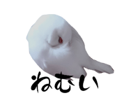 859255309