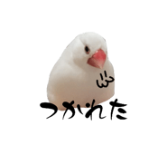 859255310
