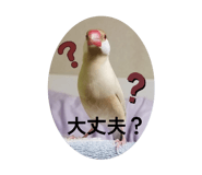 859255311