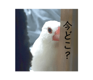 859255313