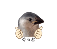 859255316