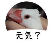 859255317