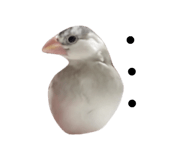 859255319