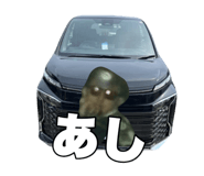 859255371