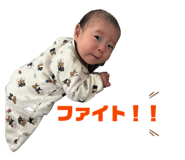 859255388