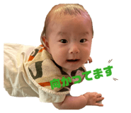 859255400