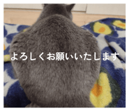859255648
