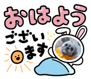 859255831