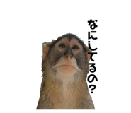 859256012