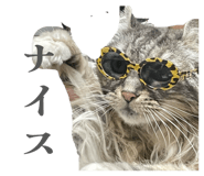 859256119