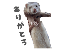 859256120