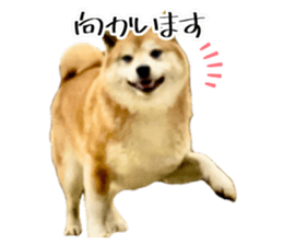 859256258