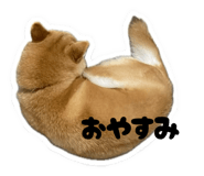 859256411