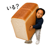 859256579
