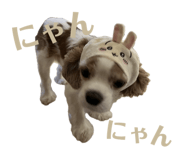 859256586