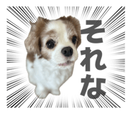 859256588