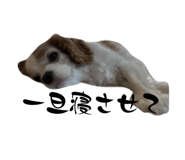 859256589