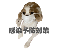 859256591