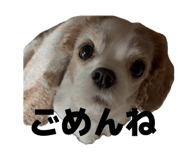 859256598