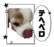 859256600