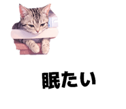 859256728