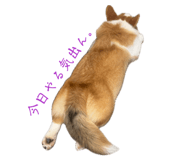 859256729