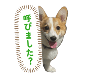 859256730