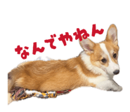 859256731