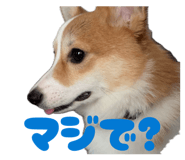 859256732