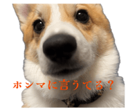 859256734