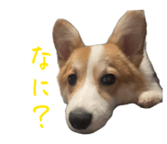 859256735