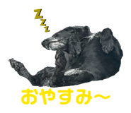 859256826