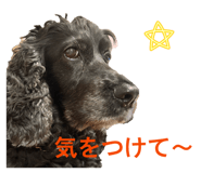 859256832