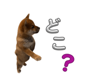 859256862