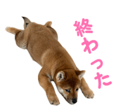 859256864