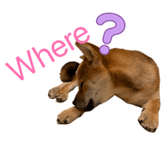 859256878