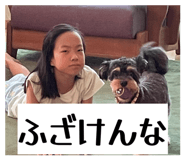 859256885