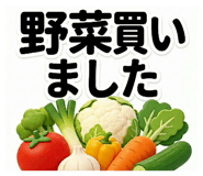 859257044