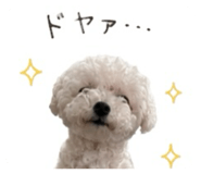 859258051