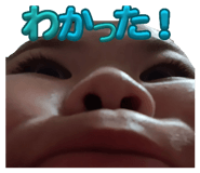 859258337