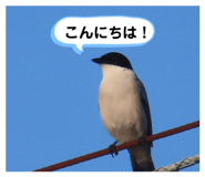 859258378