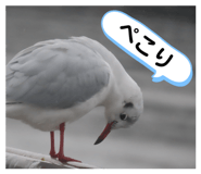 859258383