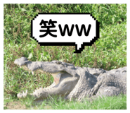859258396