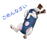859258408