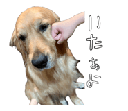 859258928