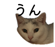 859259146