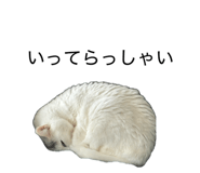 859259148