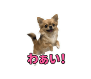 859259281